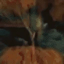 Anyone emote