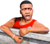 gtawtf emote