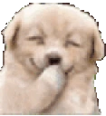 hihihi emote
