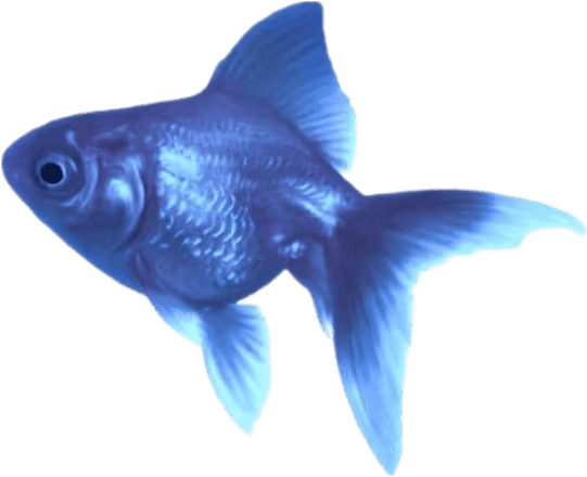 blue_fish emote