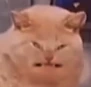OughWhatTheHell emote