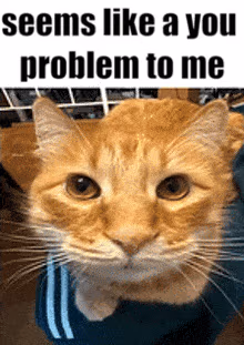 youproblem emote