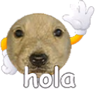 hola emote