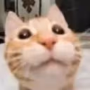 gabe emote