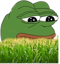 FeelsCornMan emote