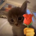 love emote