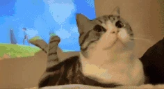 miuksa emote