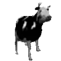 cowJAM emote