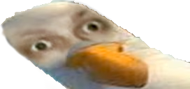 ptaku emote
