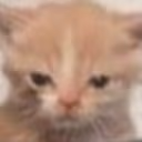 grompy emote