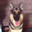 Duke emote