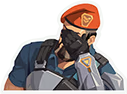 brimfacepalm_valorant emote