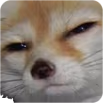 Stare2 emote