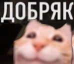 dobryak emote