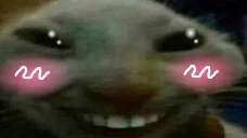 xddblushy emote