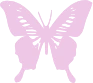butterfly emote