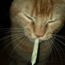 ZazaCat emote