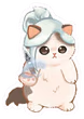 catjett emote
