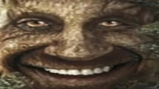 xddTree emote