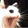 CE_SCREAMMMMM6 emote