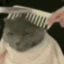 wave emote