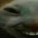 xdd1 emote