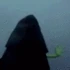KermitDarkSideSlap emote