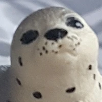 JudgeSeal emote