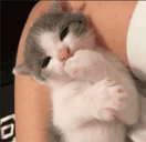 nyom emote
