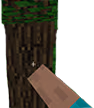 punchtree emote