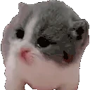 Scared emote