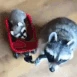 CE_VroomVroomRaccoon emote