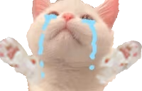 NOOOO emoji