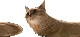 chorming emote