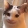CE_AwkwardSmile emote