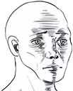 scared_wojak emote