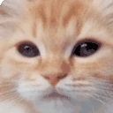 yawn emote
