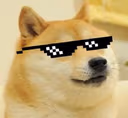 DogeSwag emote