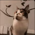 CE_EatFinger emote