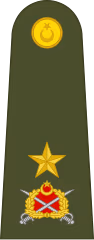 TurkishBrigadierGeneral emote