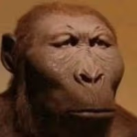monke_serious emote