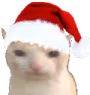ChristmasCat emote