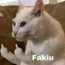 fakiu emote