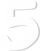 white_five emote