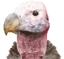 SEMP emoji