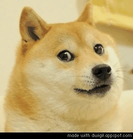 Deal_With_It_Doge emote