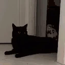 Yoink emote