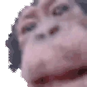 monkeyLick emote