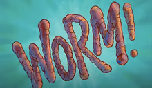 WORM emote