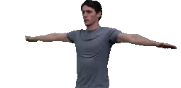 JermaSpin emote